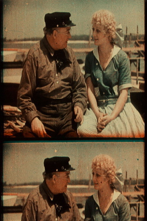 The Gulf Between (1917) poster