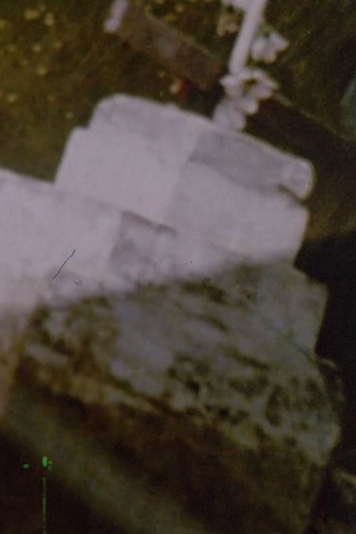 El Camino (2011) poster