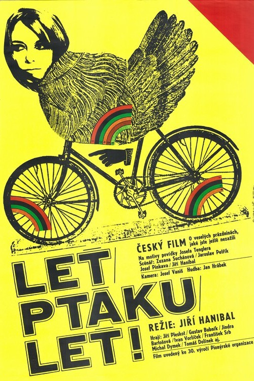 Leť, ptáku leť! (1979) poster