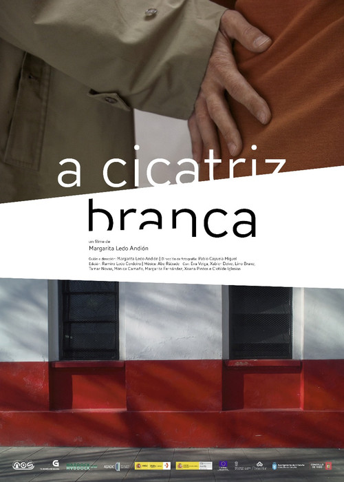 A cicatriz branca (2012) poster