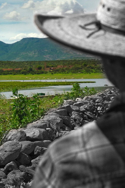 Un respiro (2026) poster