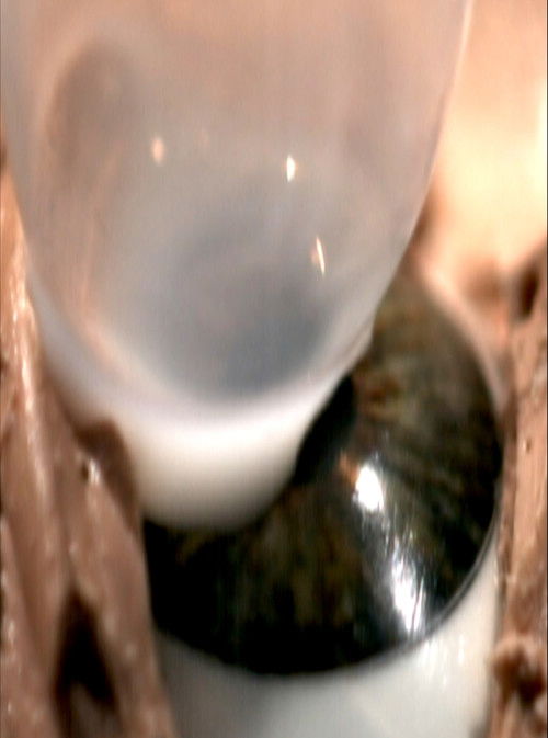 Ephemera (2005) poster