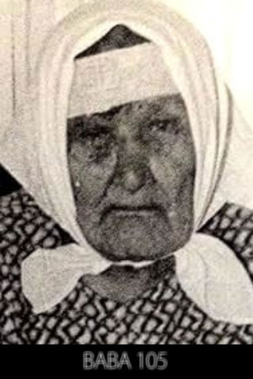 Babá 105 (2013) poster