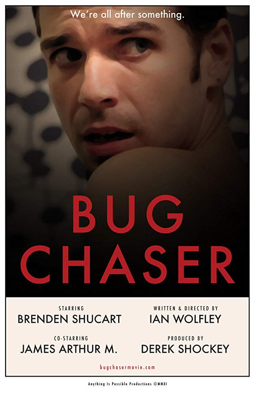 Bug Chaser (2012) poster