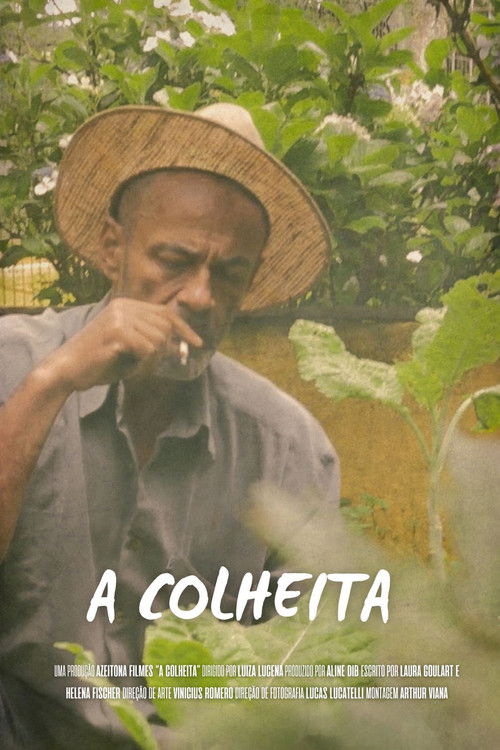 A Colheita (2023) poster