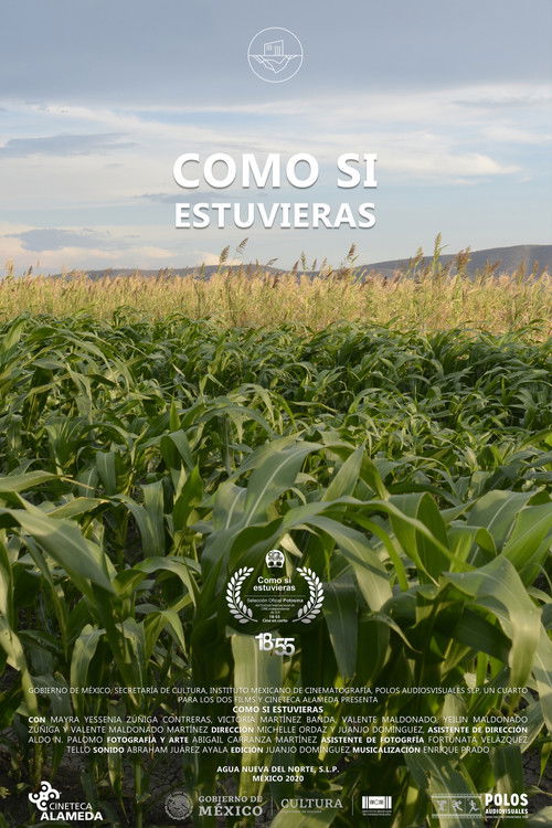 Como Si Estuvieras (2019) poster