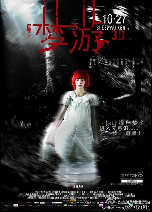 梦游 3D (2011) poster