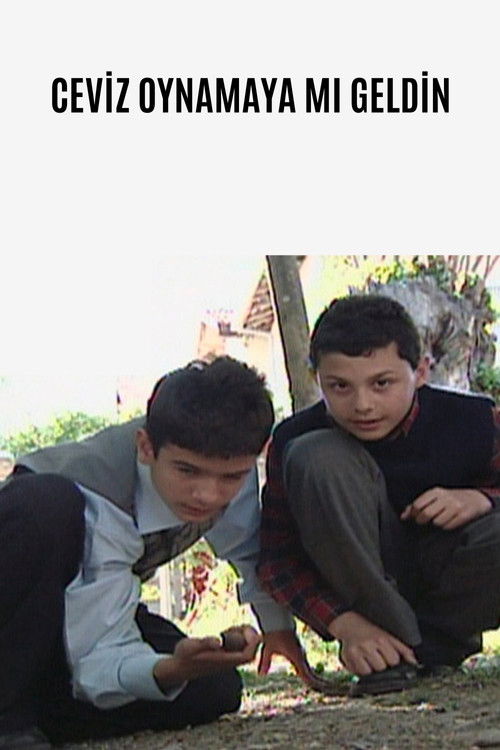 Ceviz Oynamaya Mı Geldin (2007) poster