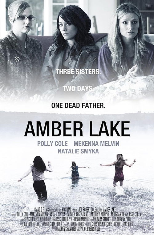 Amber Lake (2011) poster