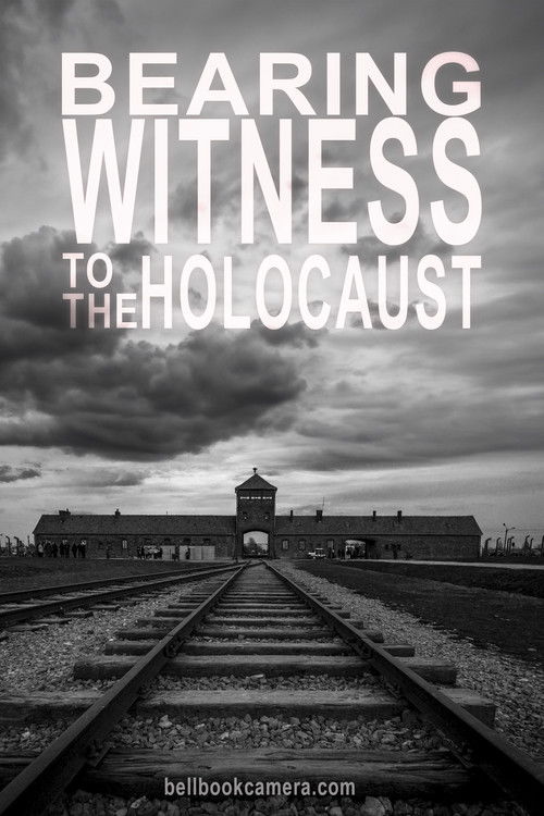 Bearing Witness to the Holocaust (2017) poster