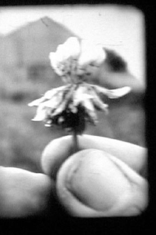 Traces (2002) poster