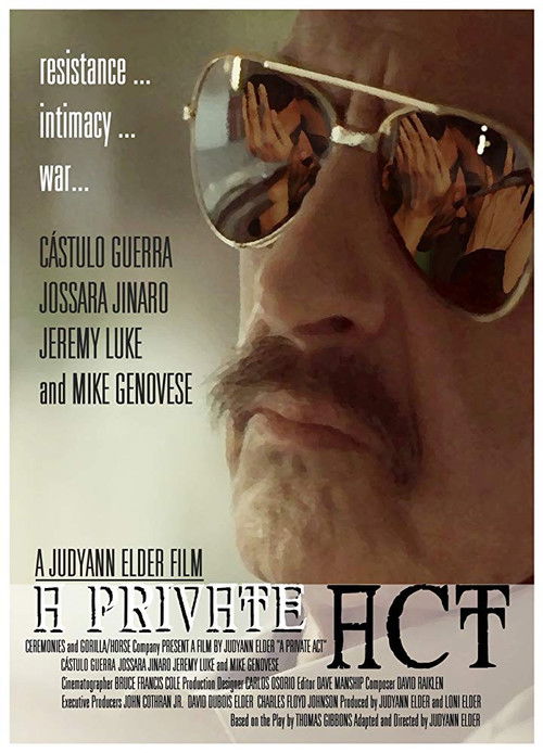 A Private Act (2013) poster