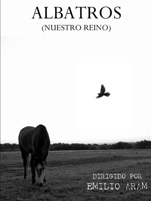 Albatross (Our Kingdom) (2024) poster