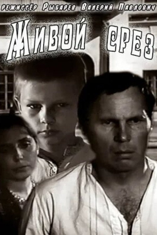 Живой срез (1978) poster