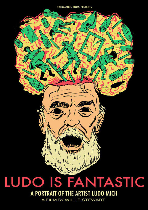 Ludo Is Fantastic (2018) poster