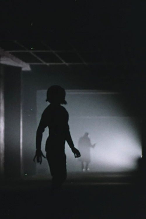 Darkness (1969) poster