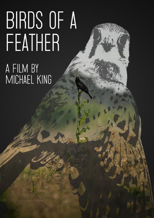 Birds of a Feather poster