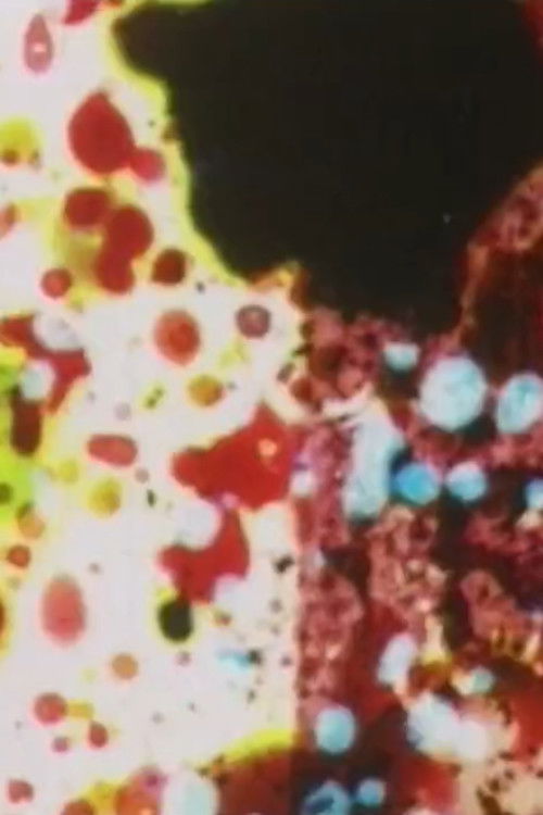 Traum A Dream (2002) poster