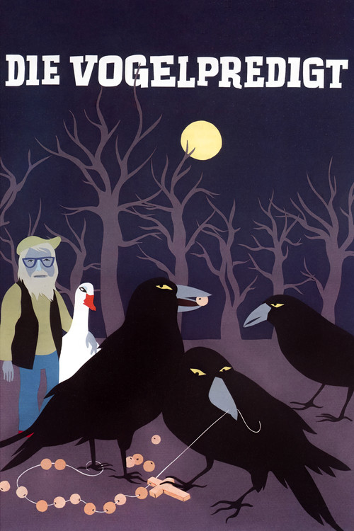 St. Francis Birds Tour (2005) poster