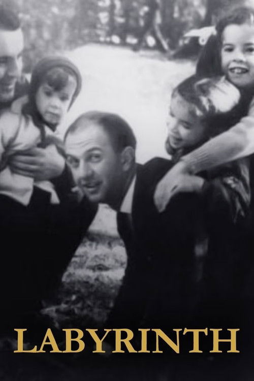 Labyrint (1991) poster