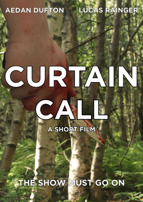 Curtain Call (2025) poster