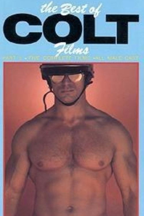 The Best of Colt Films: Part 6 (1987) poster