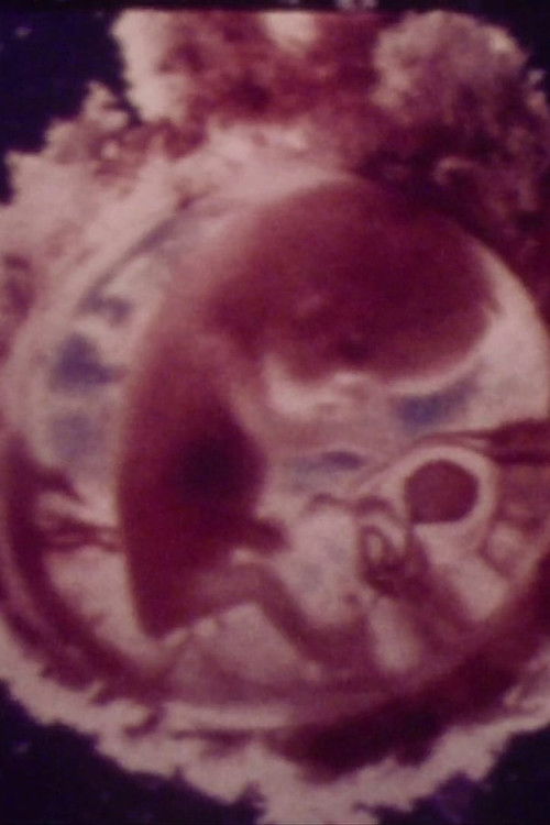 Le ventre, un supermonde (1974) poster