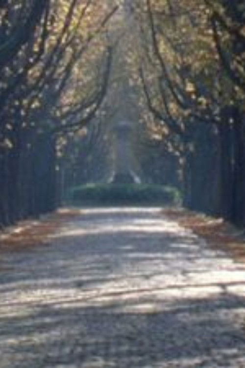 Nous sommes revenus dans l'allée des marronniers (2012) poster