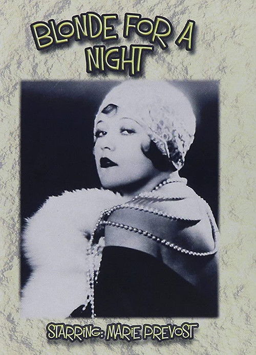A Blonde for a Night (1928) poster