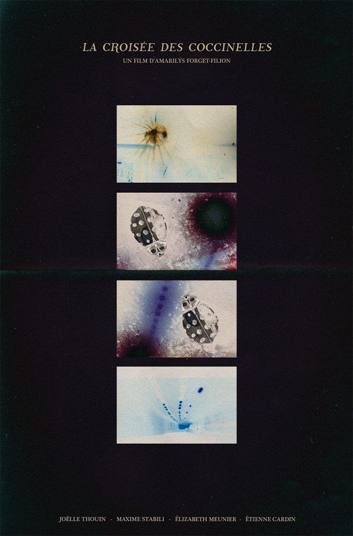 La croisée des coccinelles (2026) poster