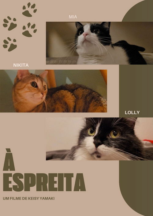 À Espreita (2025) poster