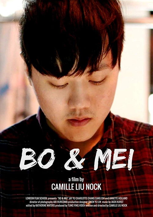 Bo & Mei (2018) poster
