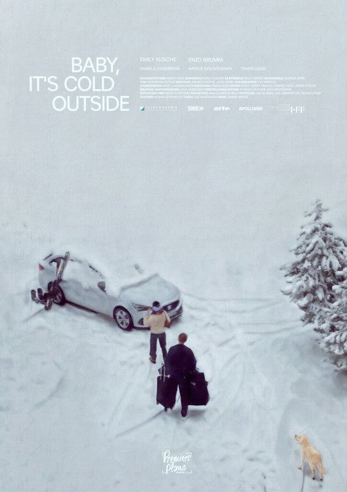 Baby it's Cold Outside (2026) poster