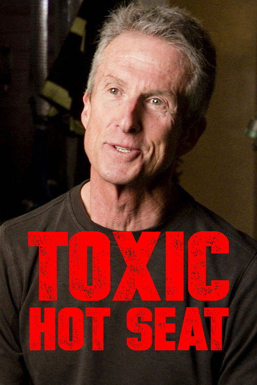 Toxic Hot Seat (2013) poster