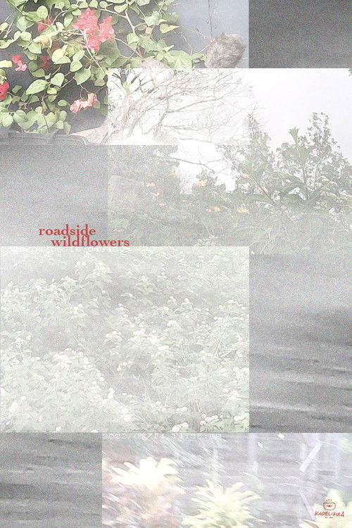 an ode to chris helzer's field guide to roadside wildflowers at full speed (2022) poster