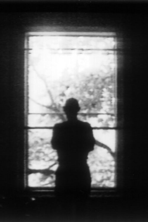 Window (1997) poster