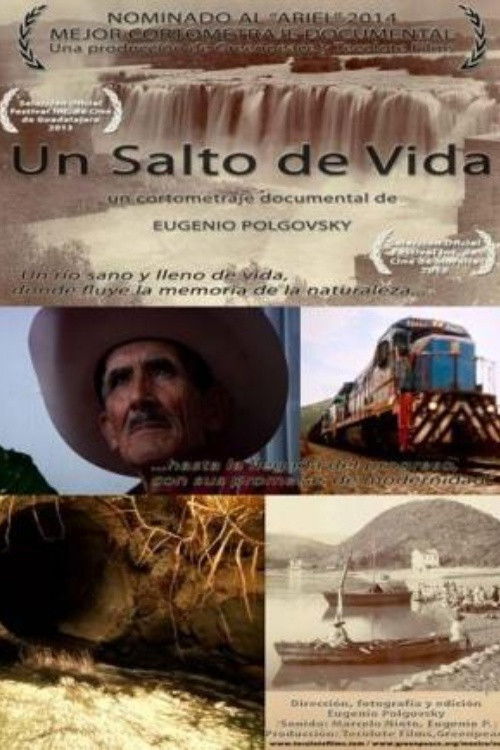 A Leap of Life (2012) poster