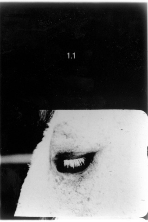 Pocket Cinema - The Catalogue (1996) poster