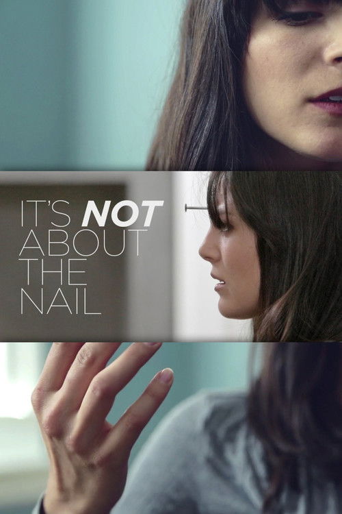 It's Not About the Nail (2013) poster
