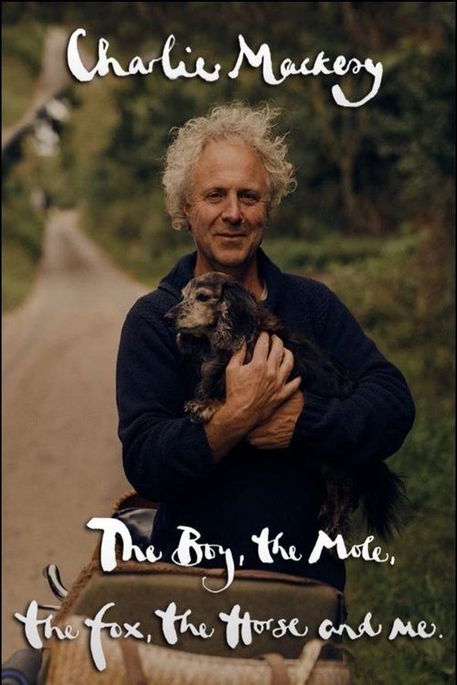 Charlie Mackesy: The Boy, the Mole, the Fox, the Horse and Me (2022) poster