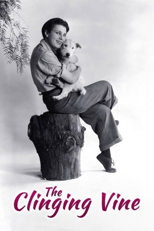 The Clinging Vine (1926) poster