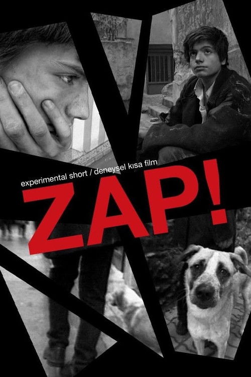 Zap! (2000) poster