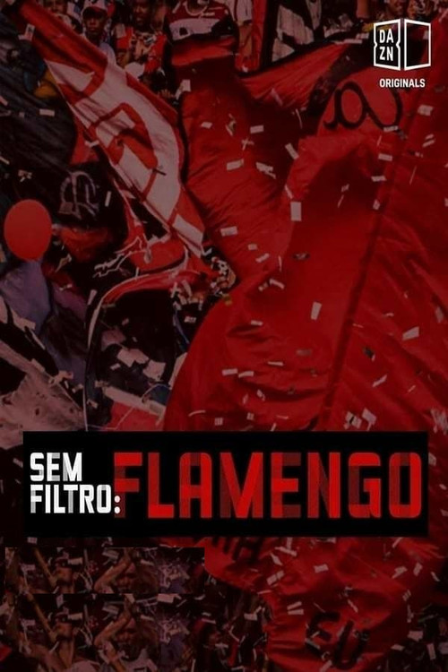 Sem Filtro: Flamengo (2020) poster