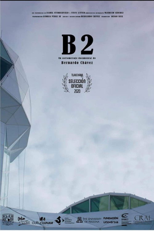 B2 (2019) poster