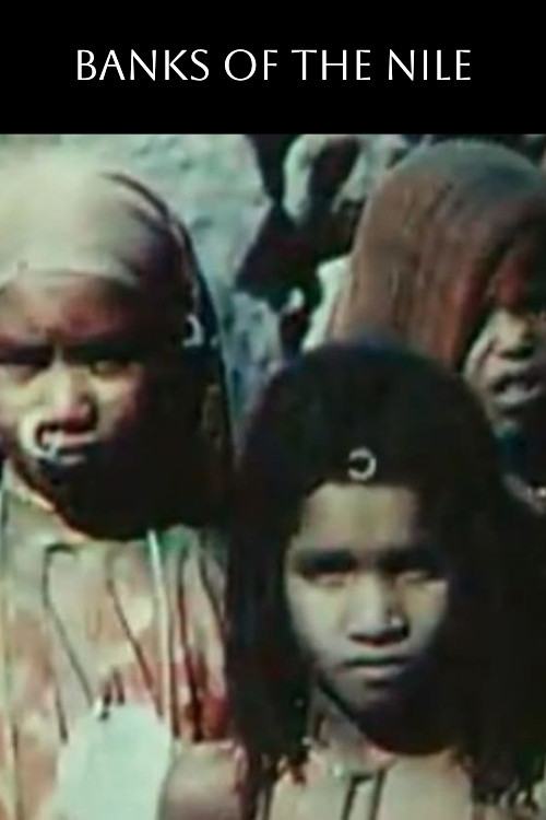 Banks of the Nile (1911) poster