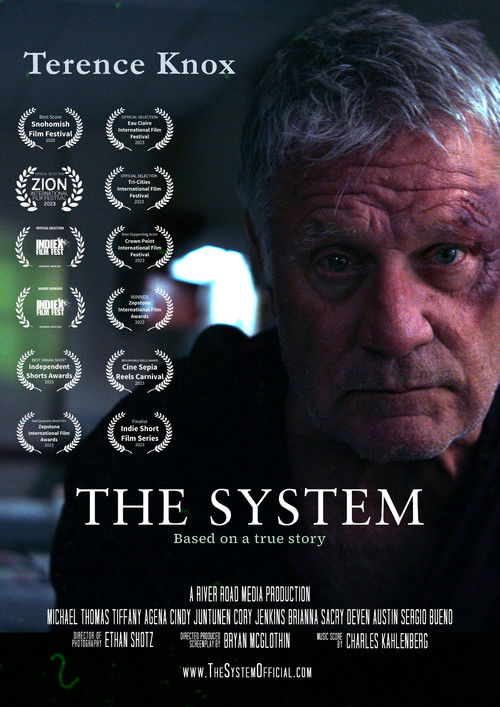 The System (2023) poster