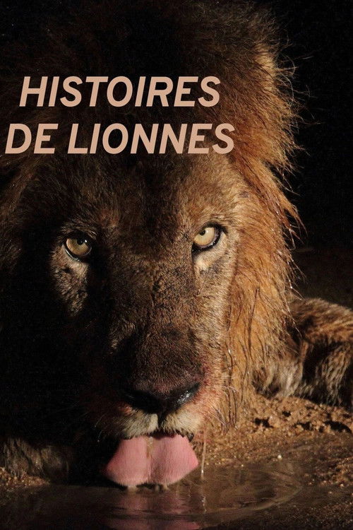 Histoires de lionnes (2020) poster