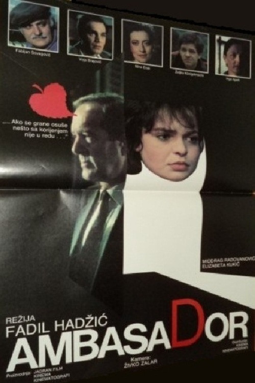 The Ambassador (1984) poster