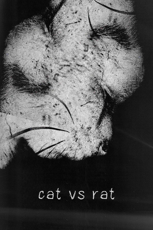 cat vs rat poster