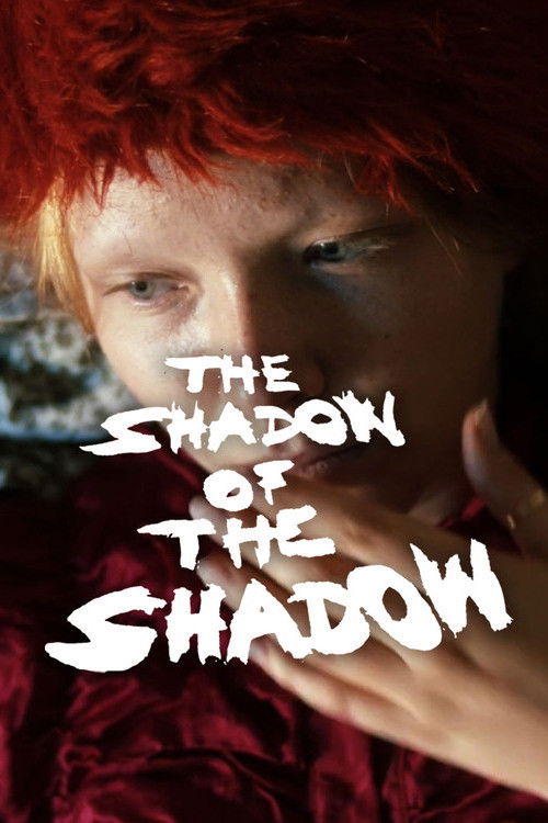 The Shadow of the Shadow (2022) poster